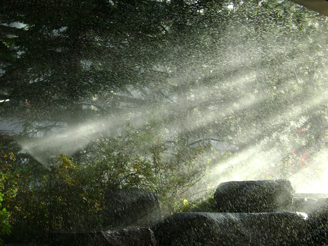 water spray light free photo