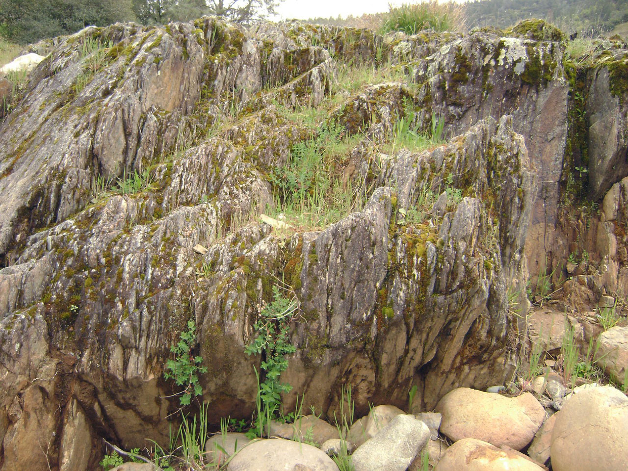 rocks moss rocks with moss free photo