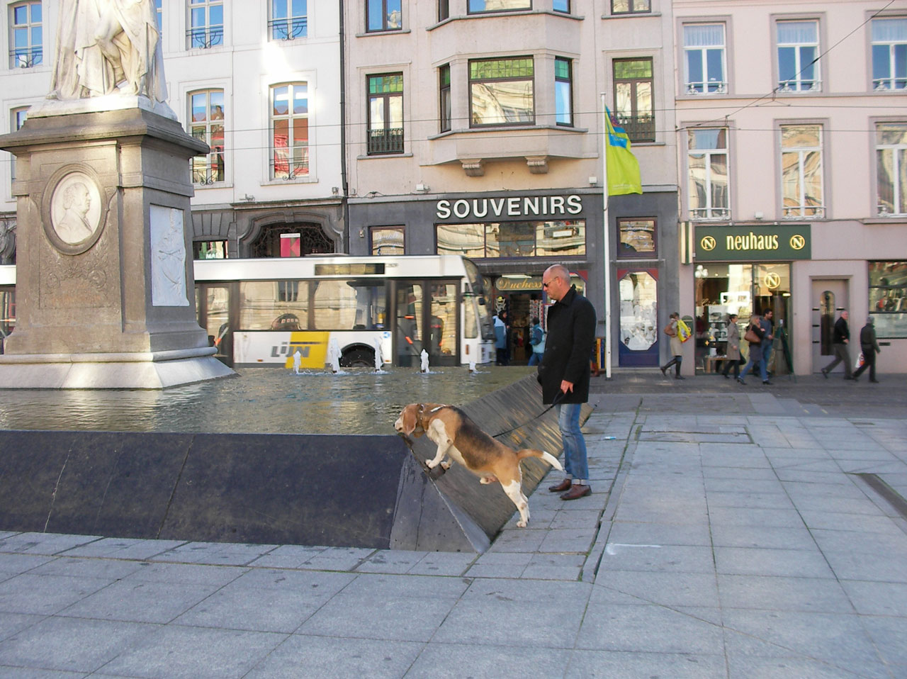 dog drinking fountain free photo