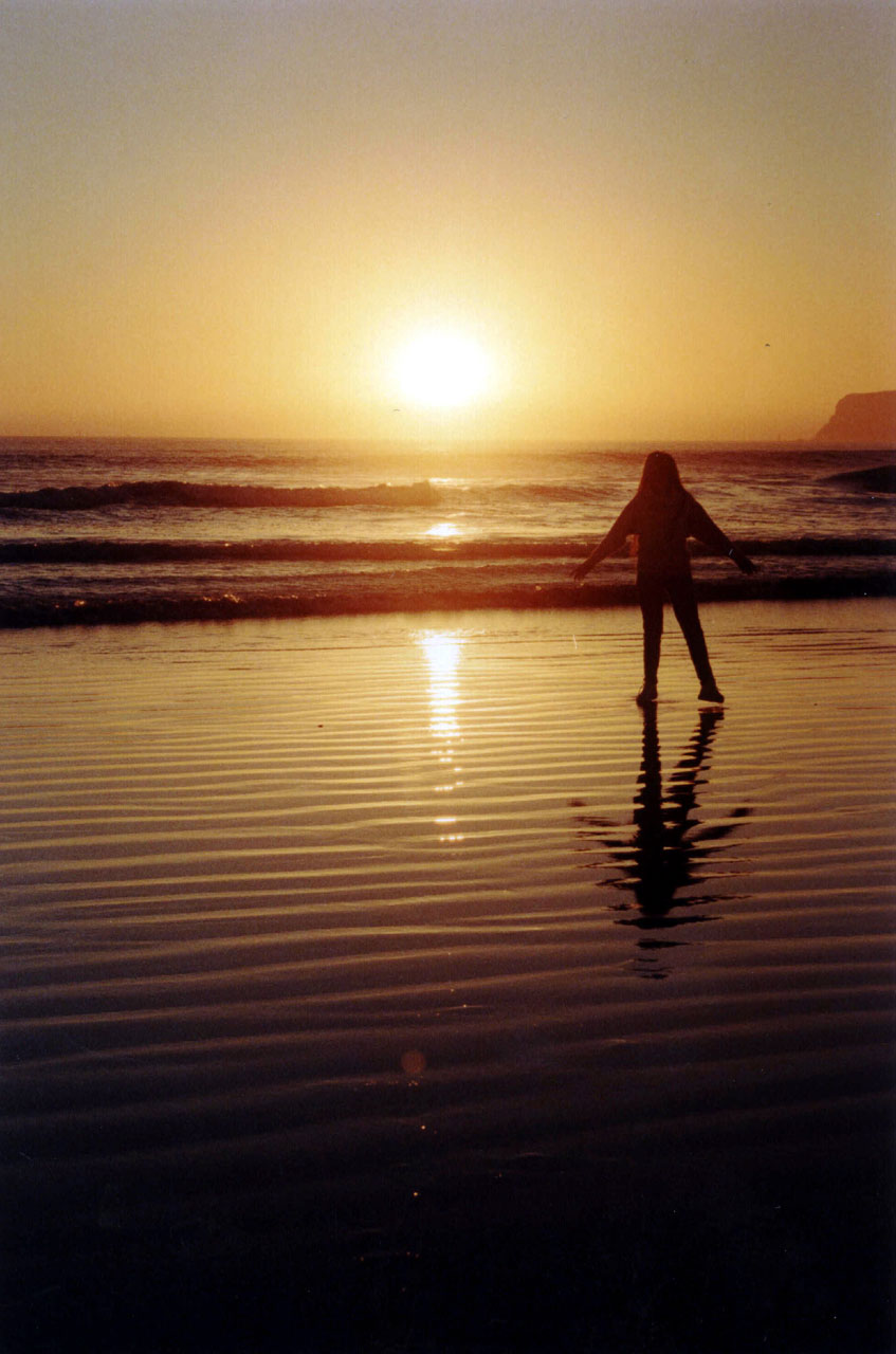 coronado beach sunset free photo