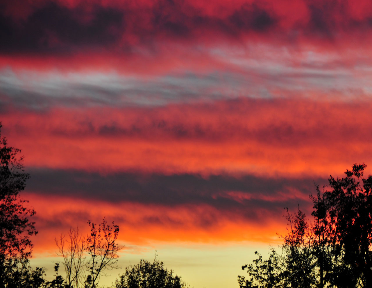 california sunset sunset in california free photo