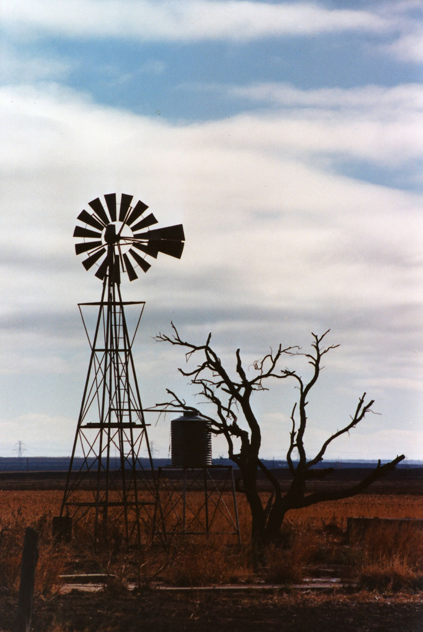 old windmill tree free photo