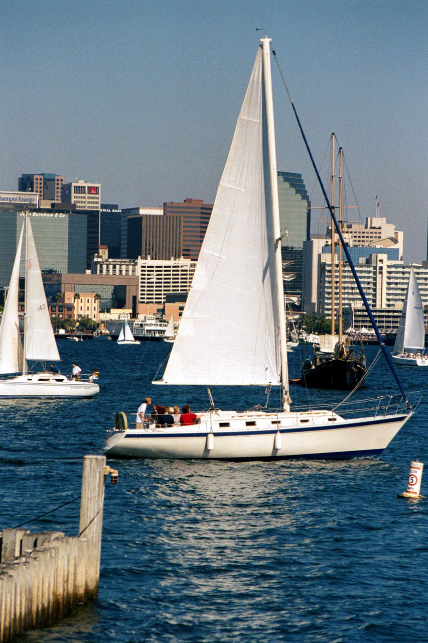 sailing san diego free photo