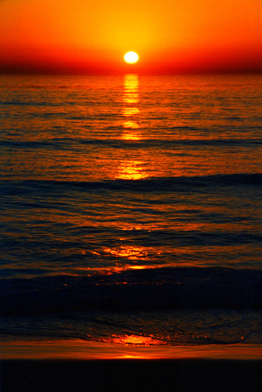san diego sunset free photo