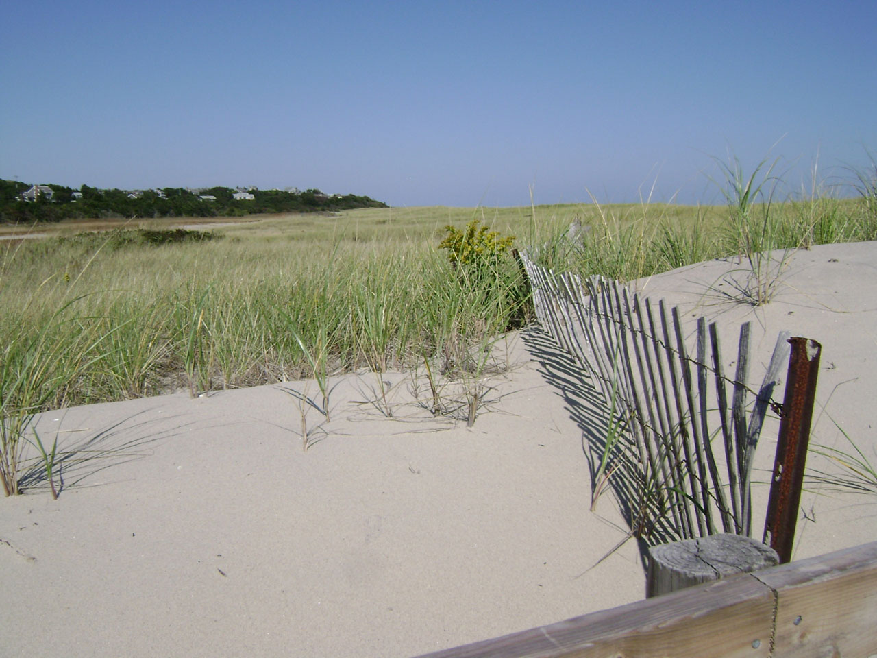 sea seaside fence free photo