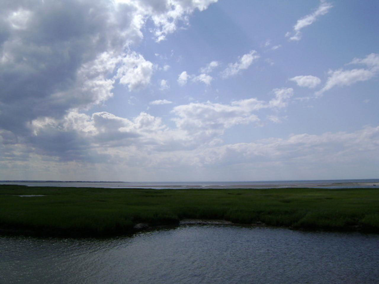 salt marsh scenic free photo