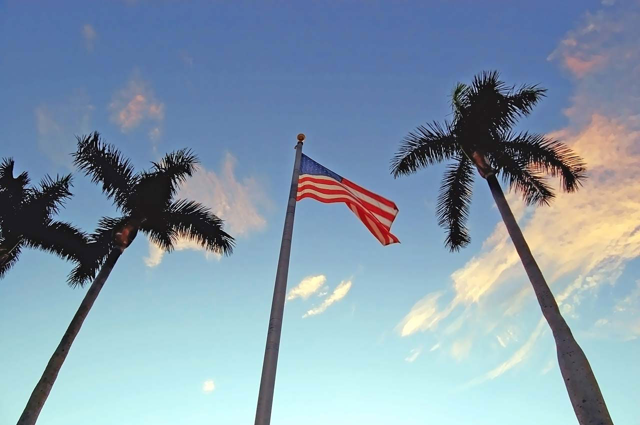 flag american palm free photo