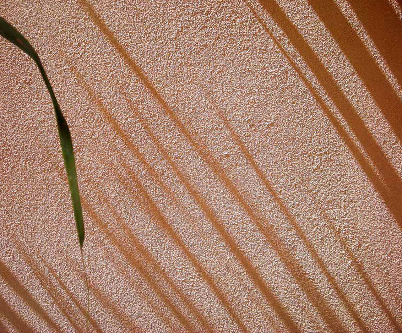 shadows leaf patterns free photo
