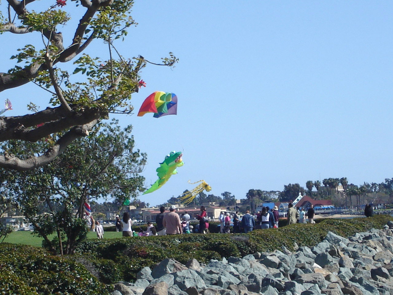 kites scenic tourism free photo