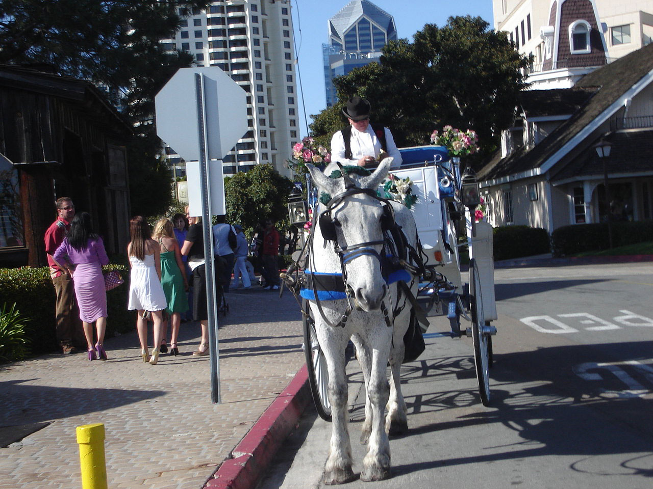 horse carriage transportation free photo