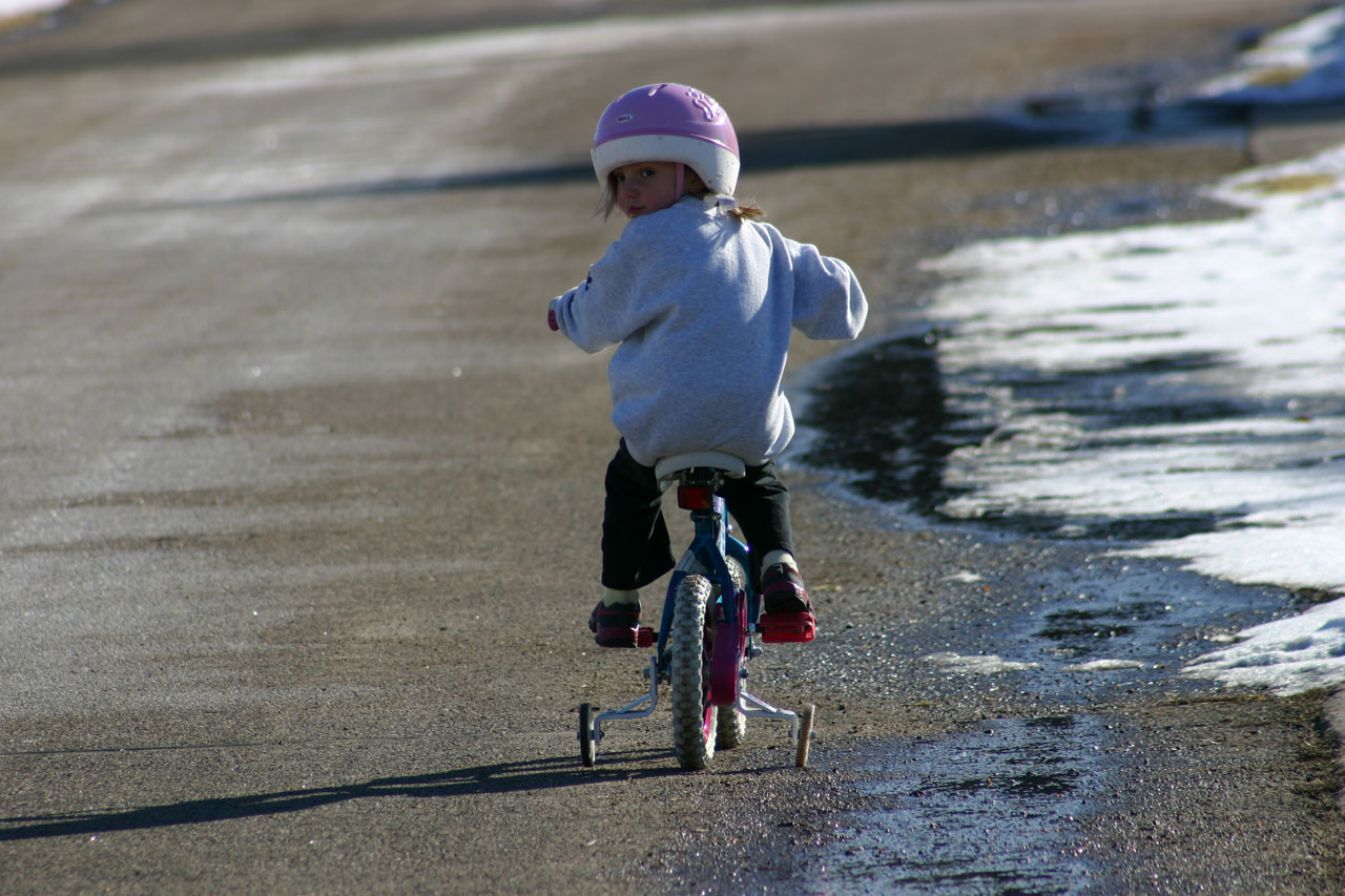 biking riding a bike free pictures free photo