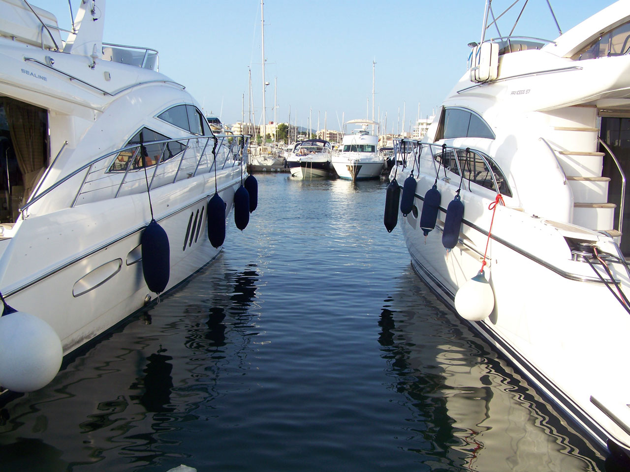 boats marina sea free photo