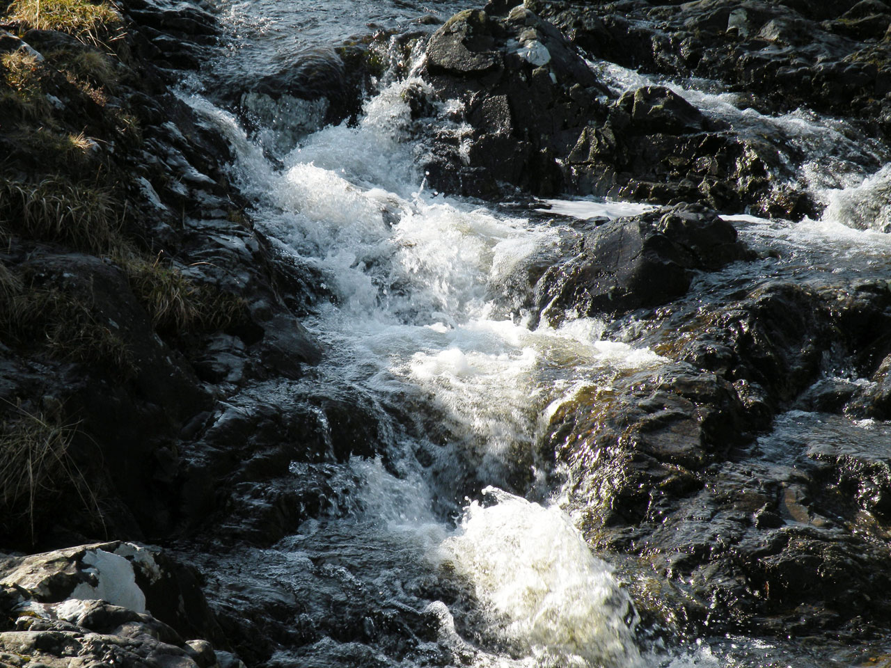 stream water rocks free photo