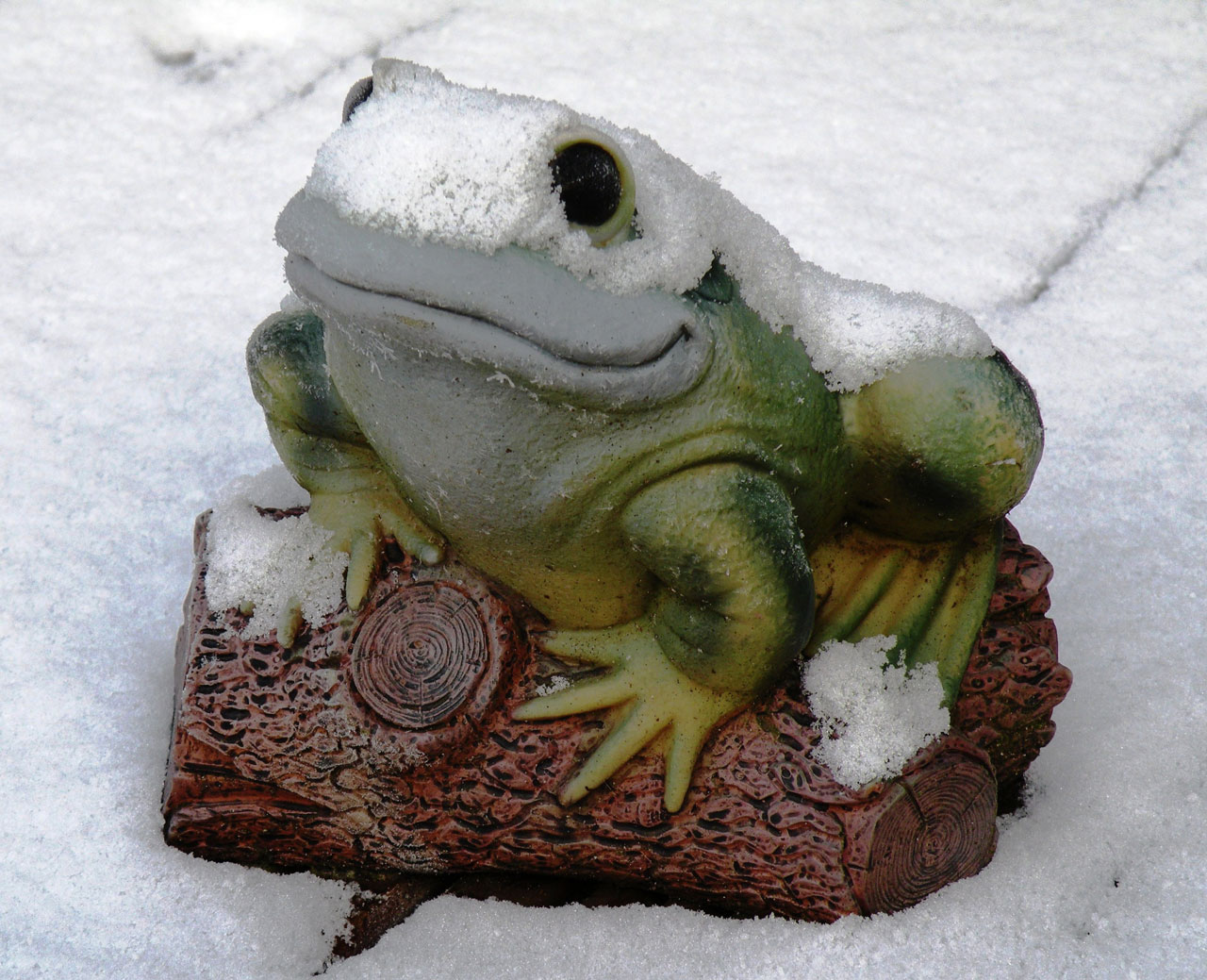 frog ornament snow free photo