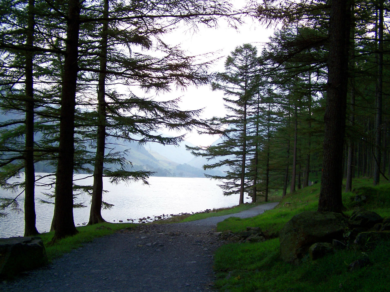 lake trees path free photo
