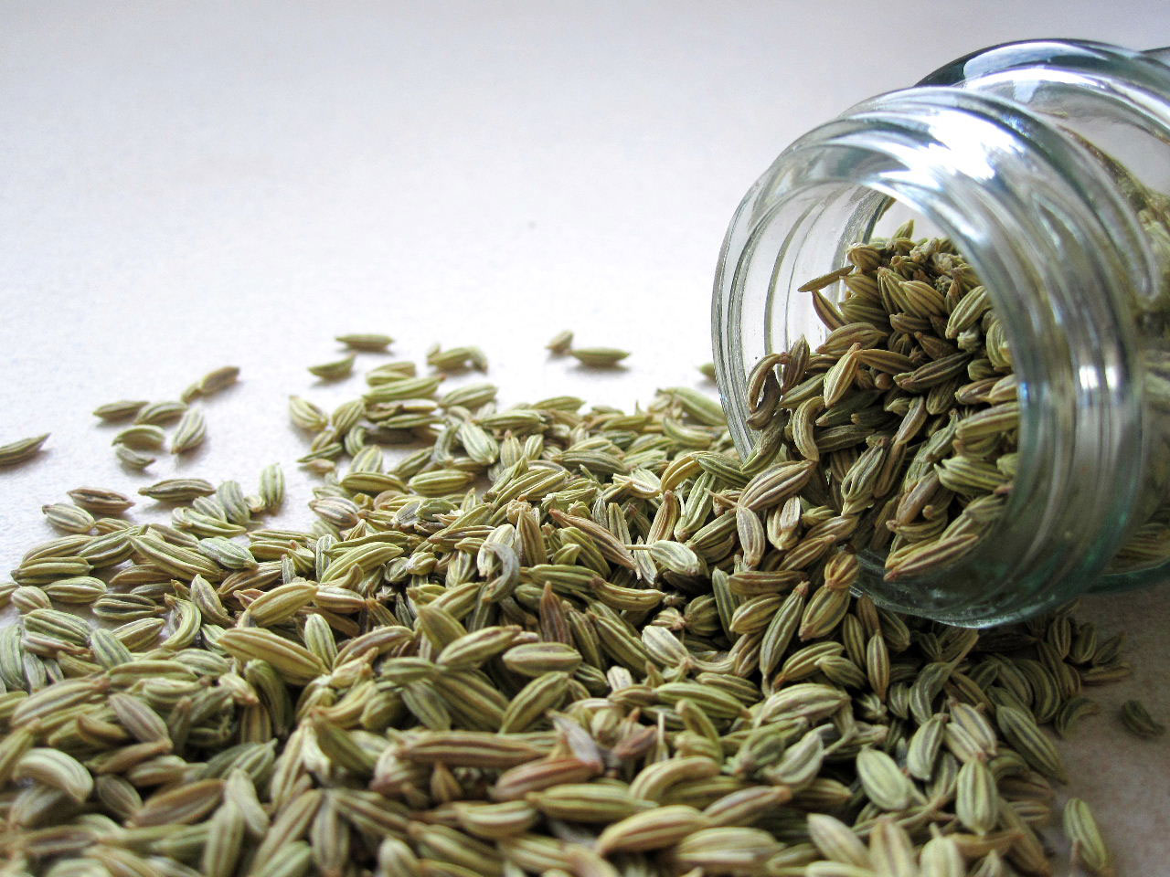 fennel seeds spice free photo