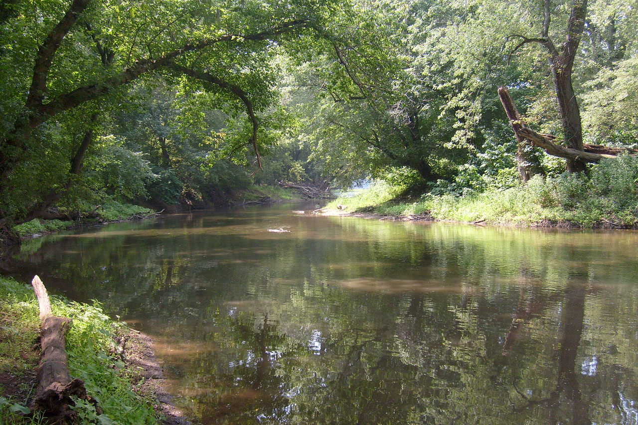 river nature water free photo