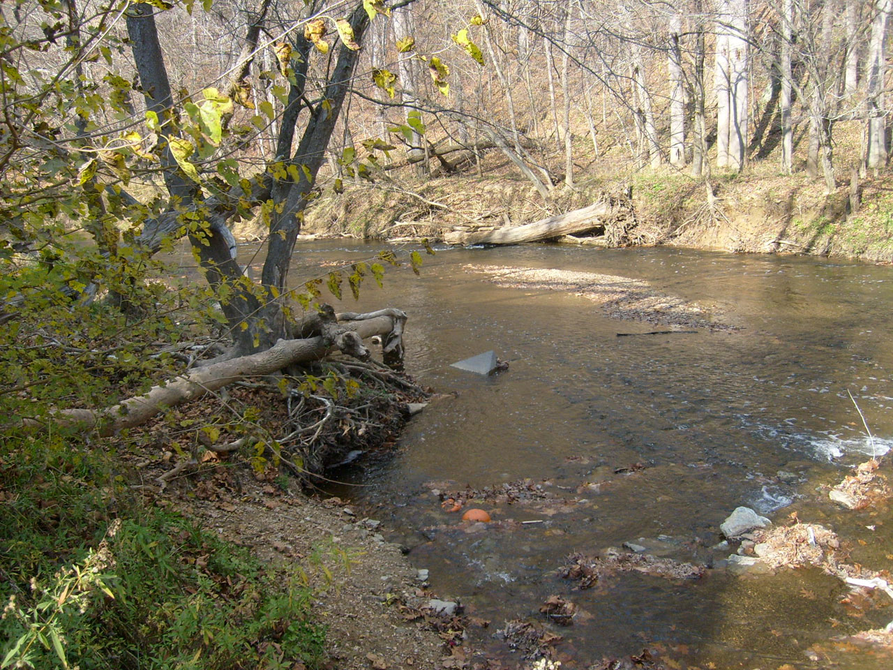 creek stream water free photo