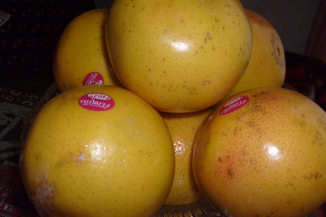 grapefruit yellow round free photo