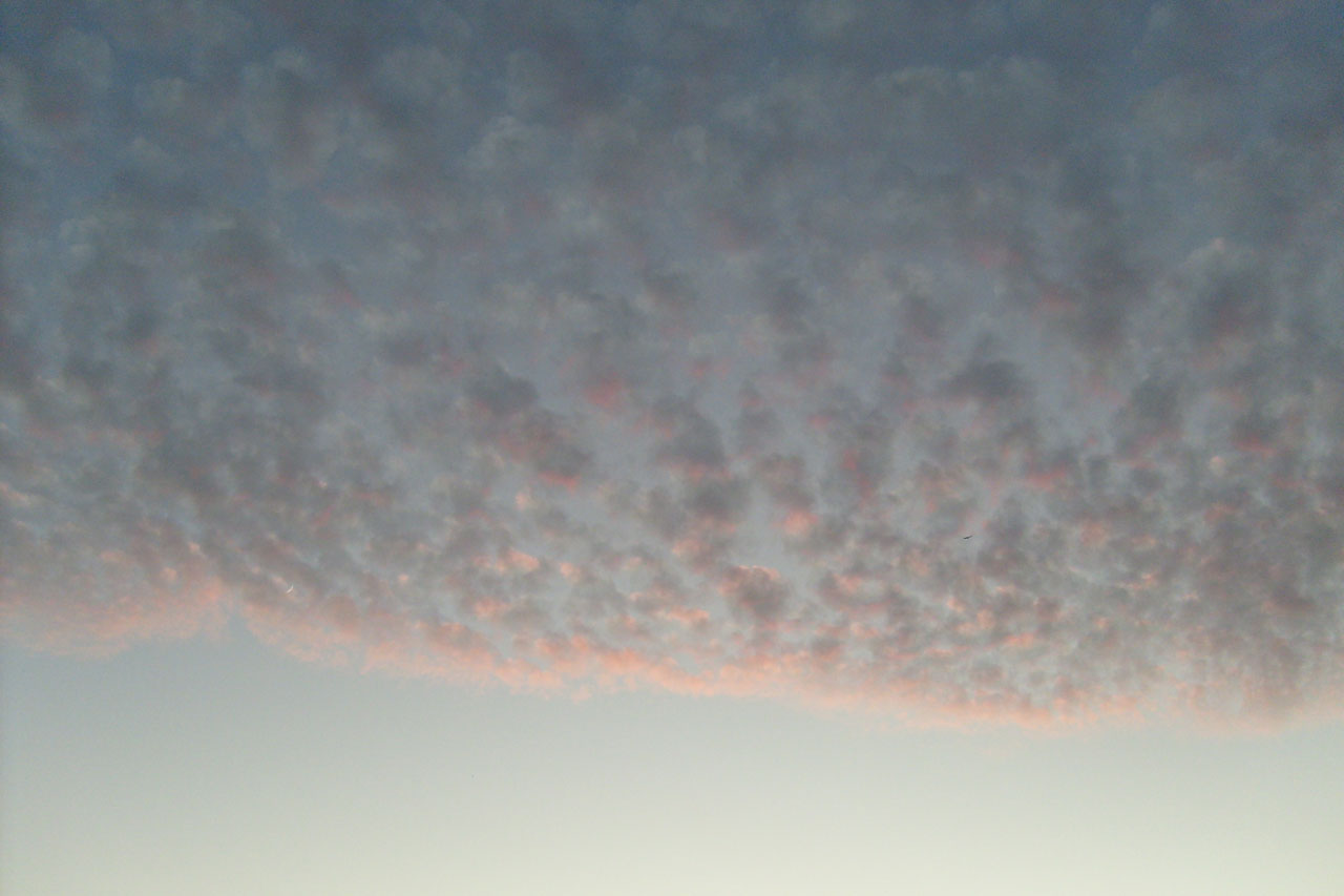 pink clouds dusk free photo