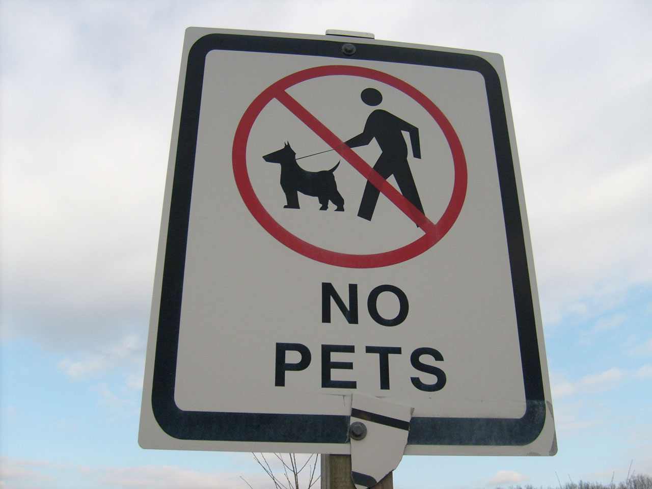 sign no pets sign free photo