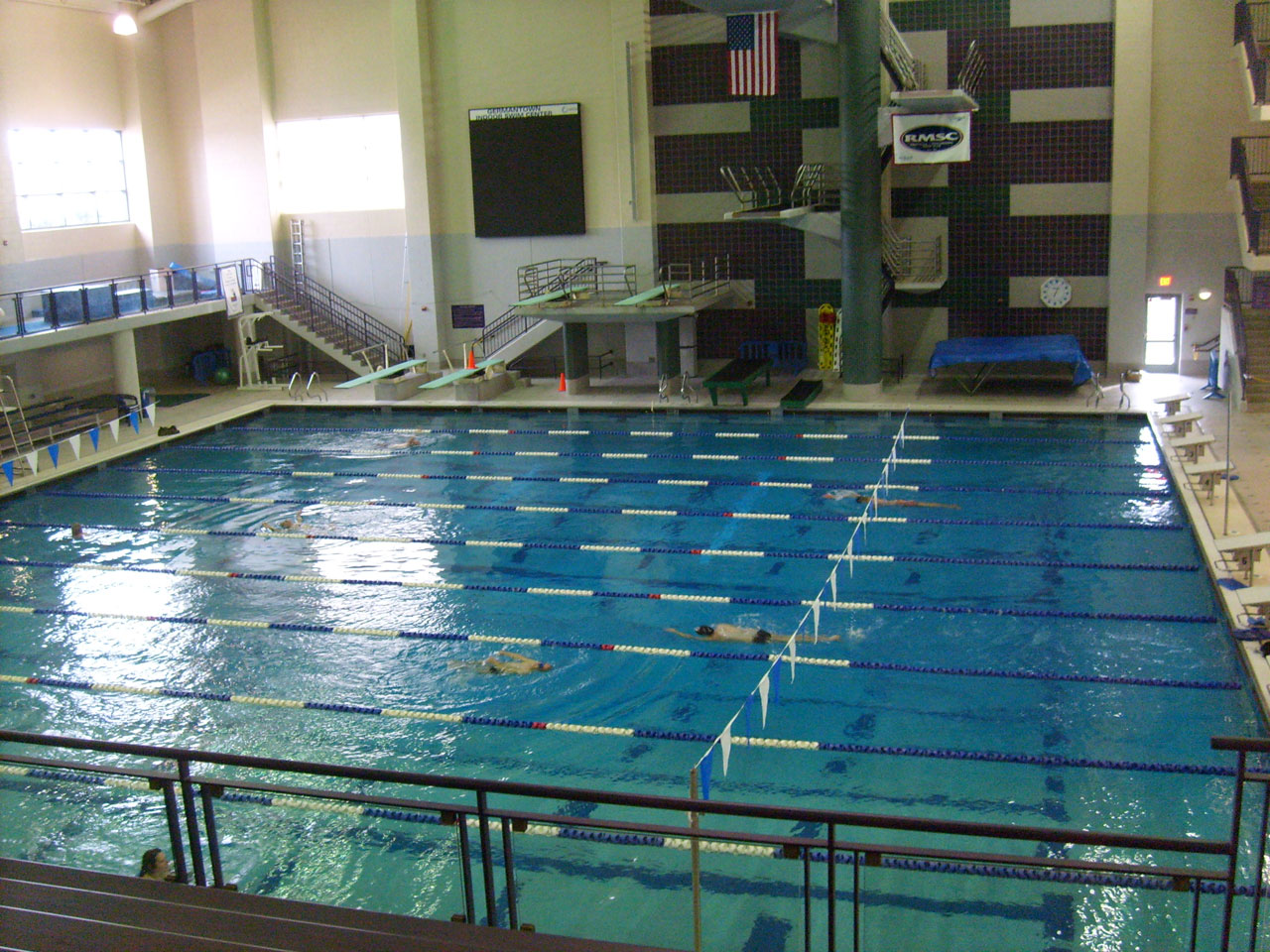 swim pool water free photo