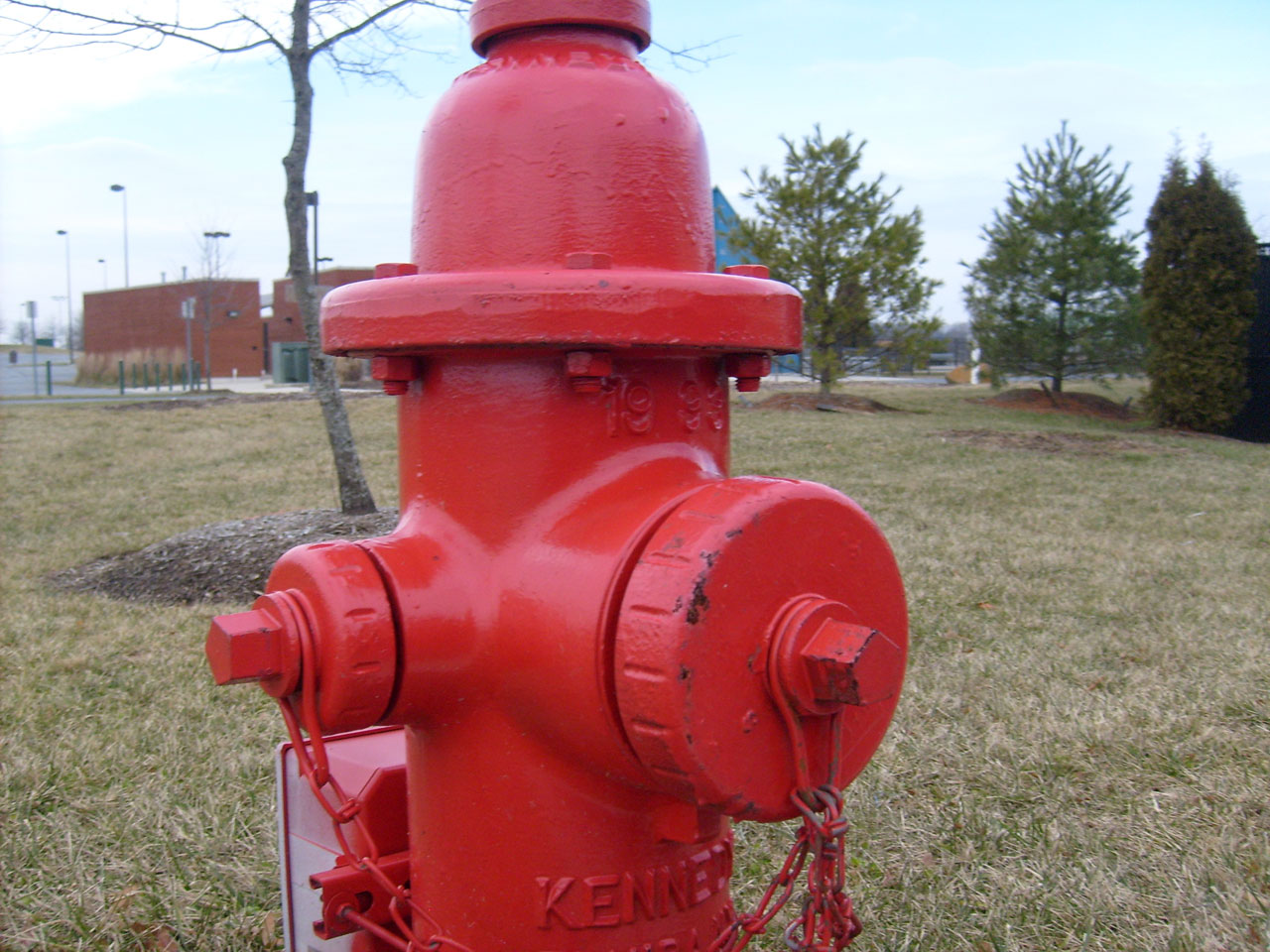 red fire hydrant fire hydrant free photo