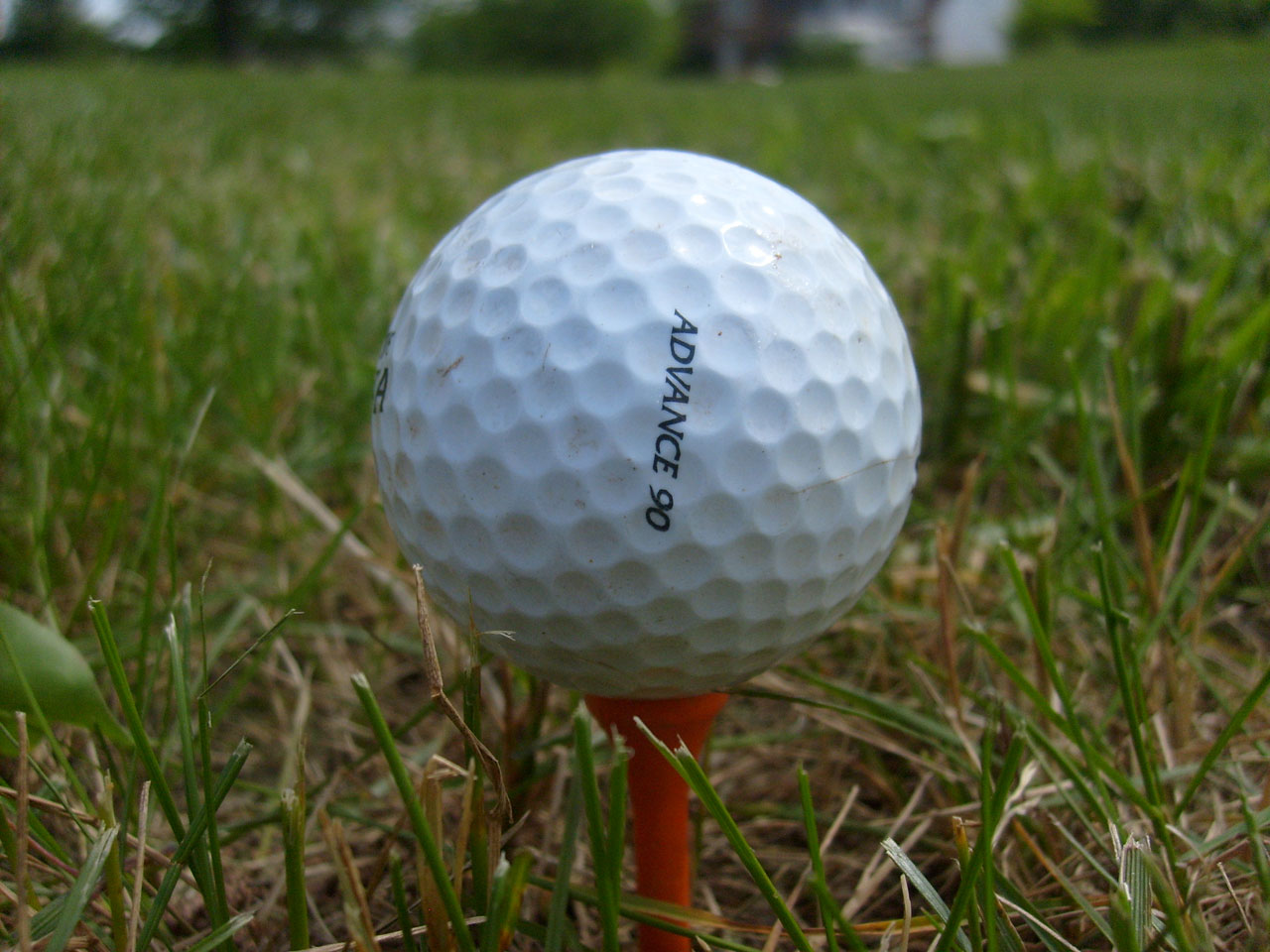 golf ball tee free photo