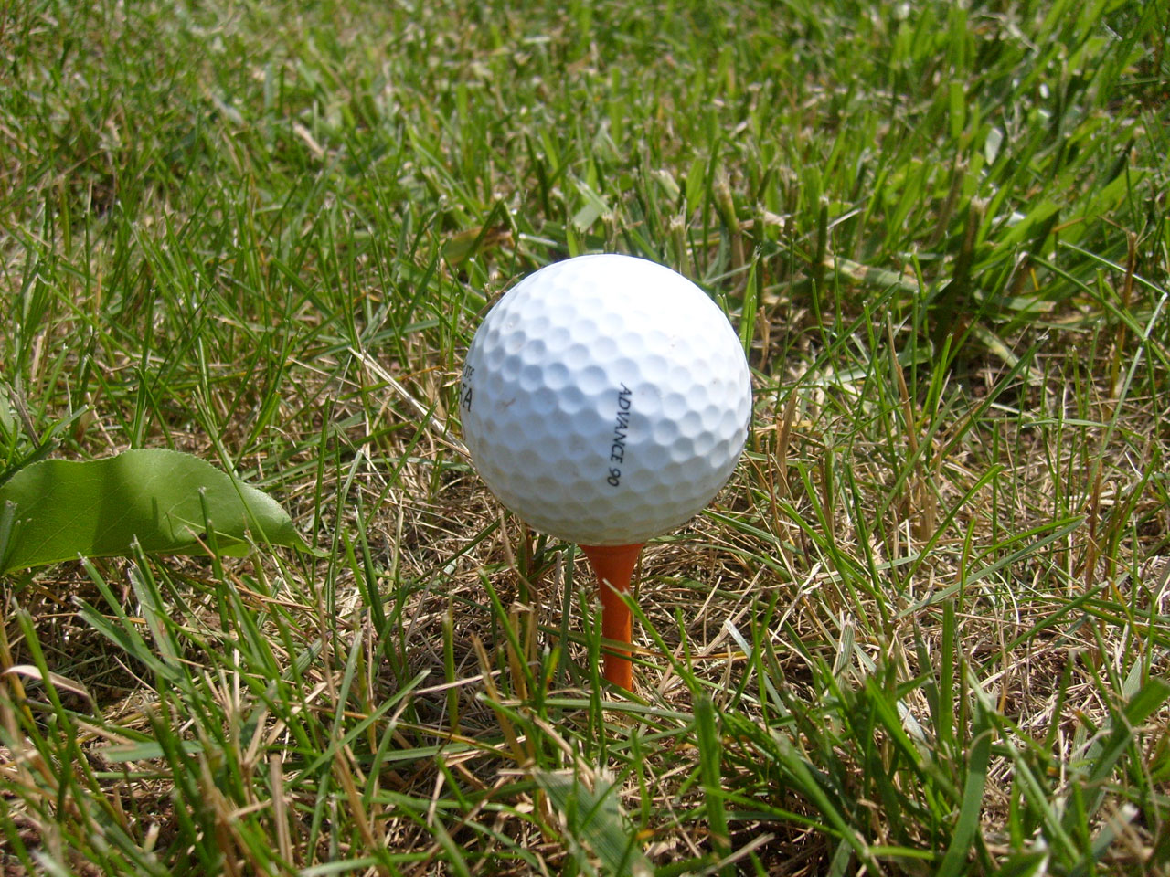 golf ball tee free photo