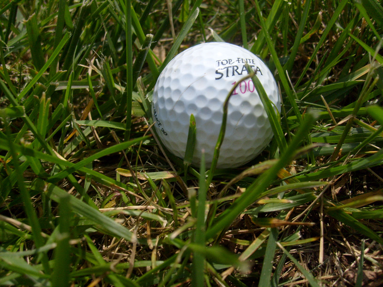 golf ball grass free photo