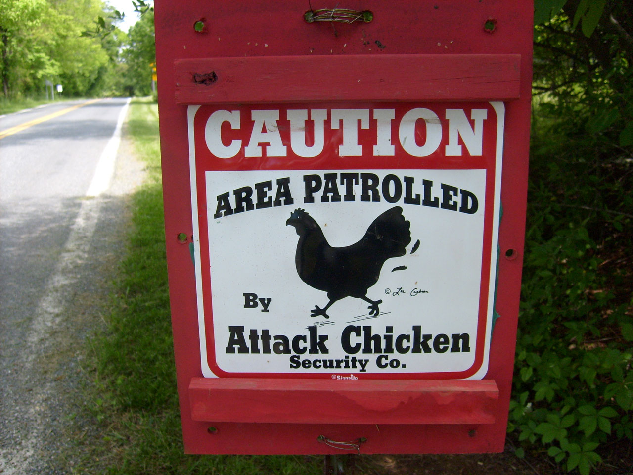sign chicken humor free photo