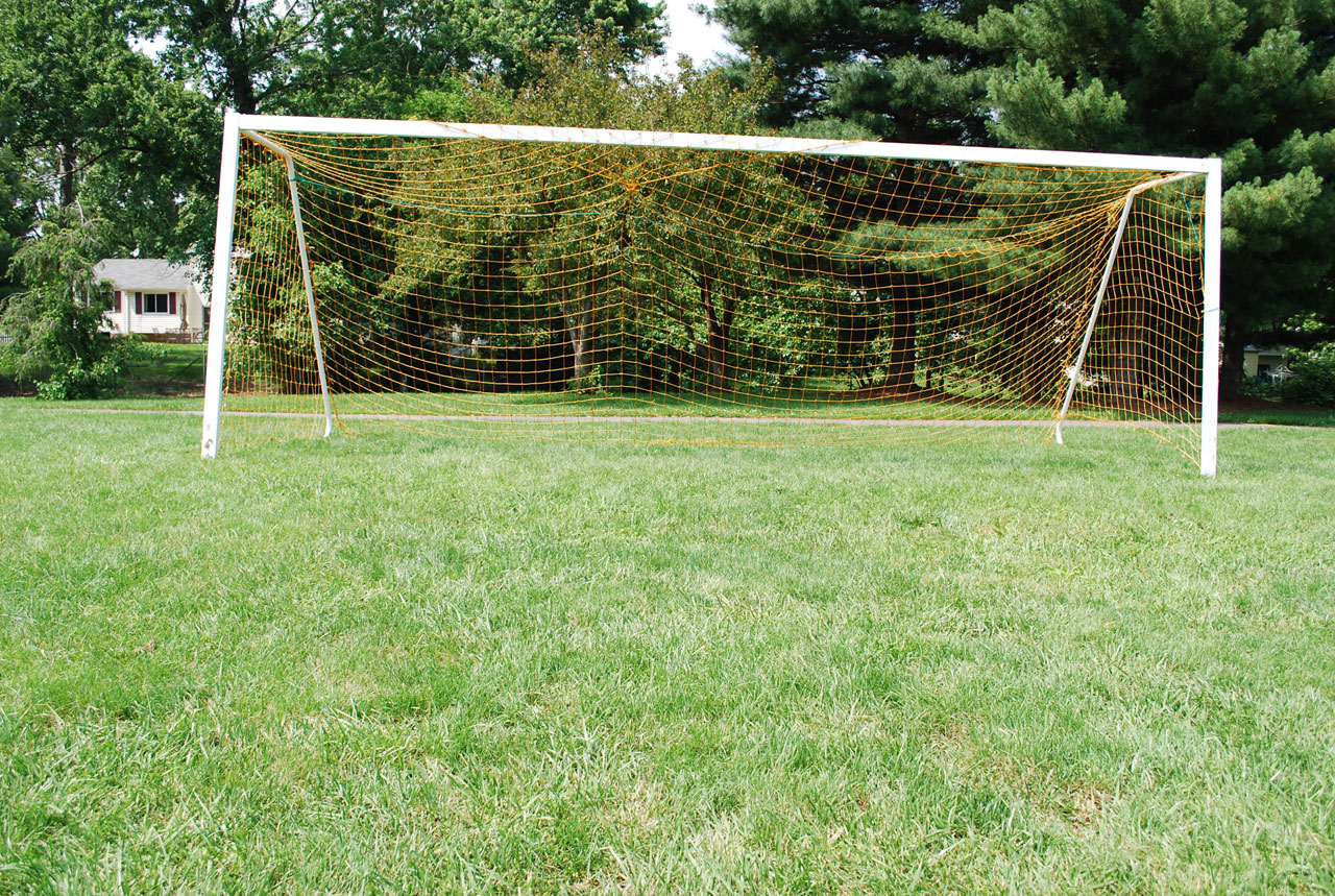 goal net pitch free photo