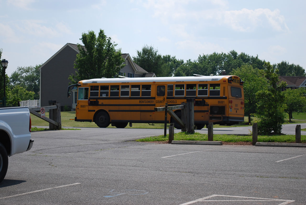 school bus yellow free photo