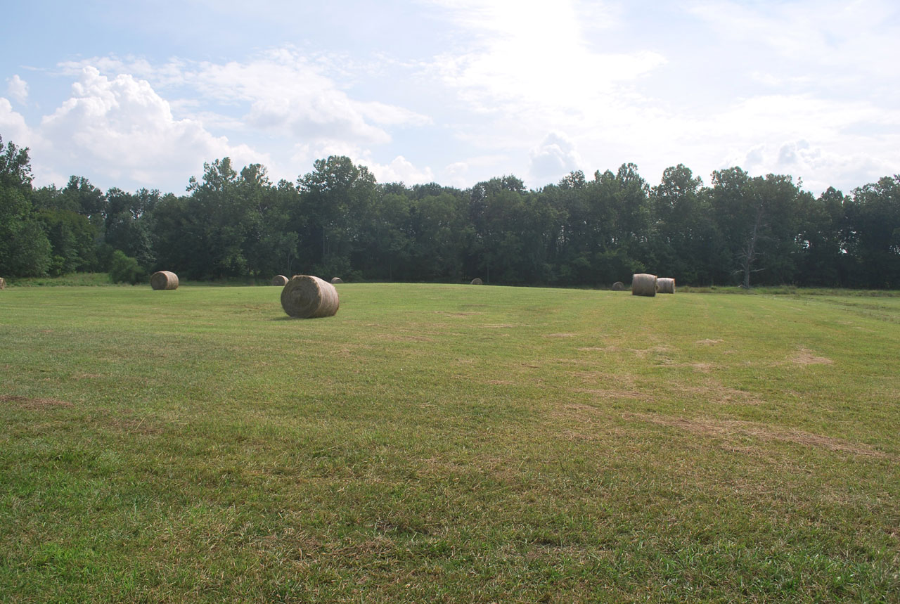 bale hay field free photo