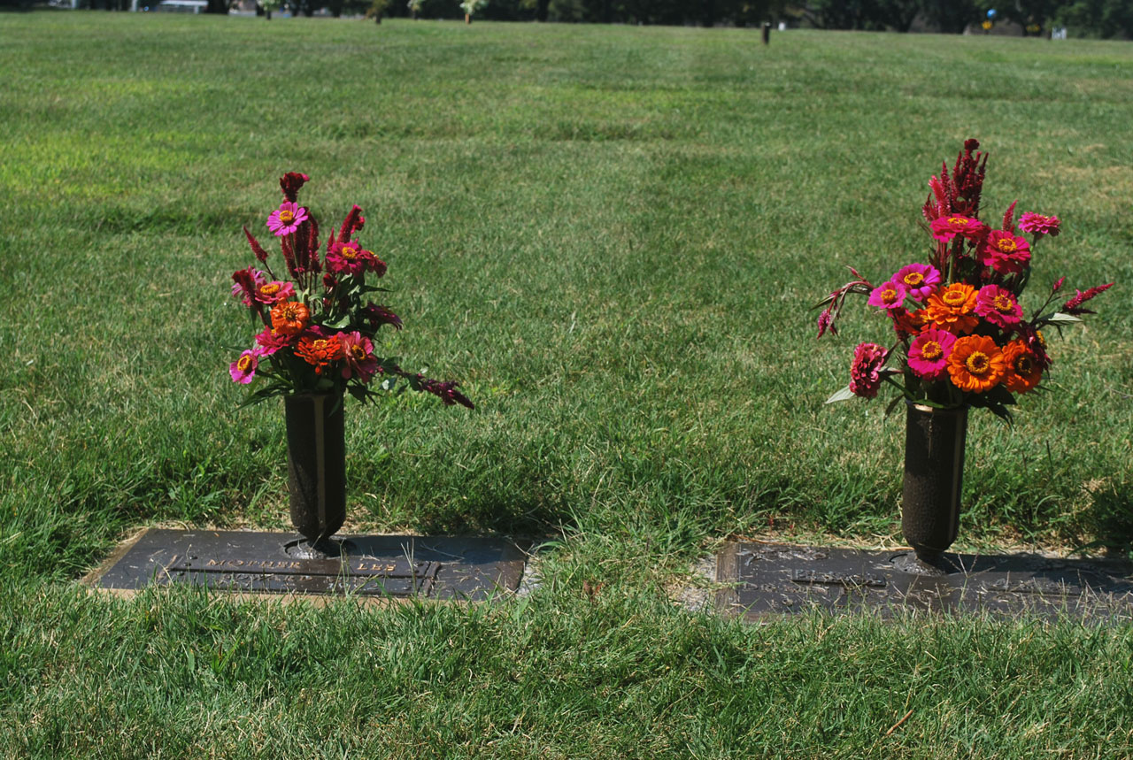flowers grave gravesite free photo