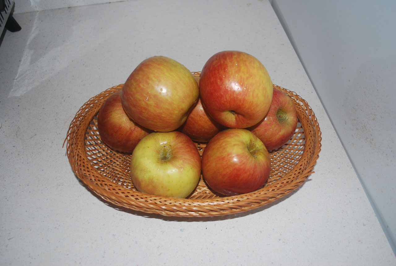 apple apples basket free photo