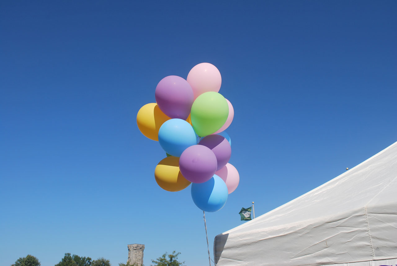 balloons sky fair free photo