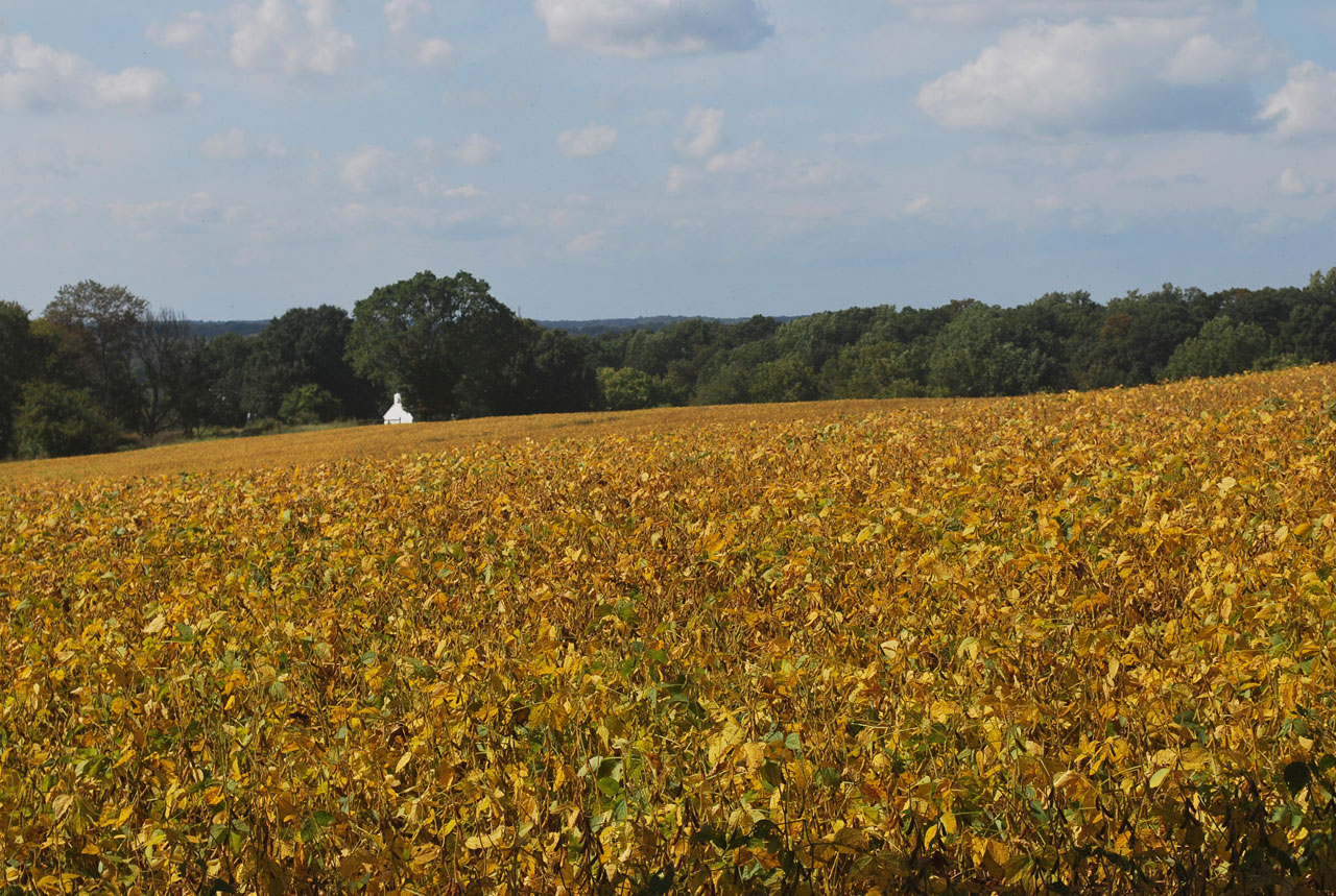 field agraculture fall free photo