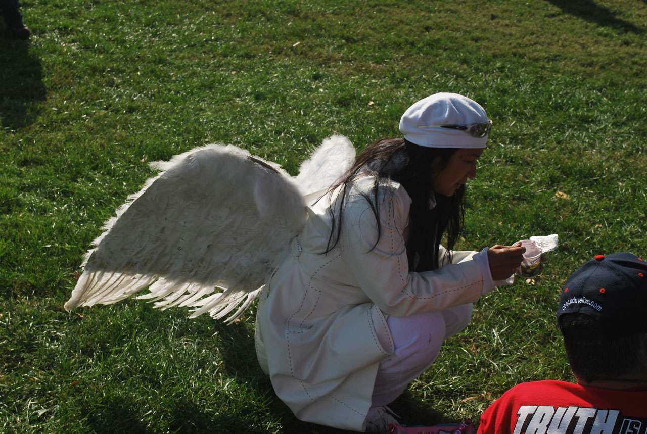 angel girl wing free photo