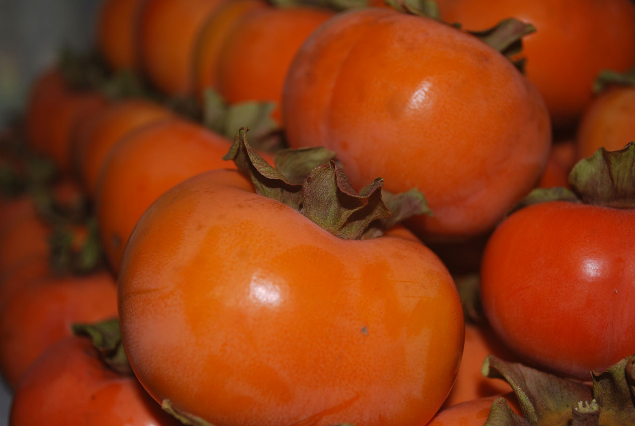 persimmons fruit stacked free photo