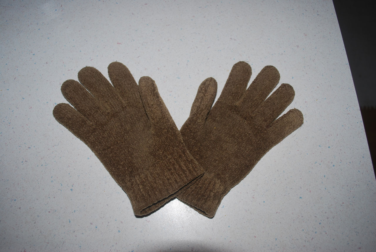 glove gloves wool free photo