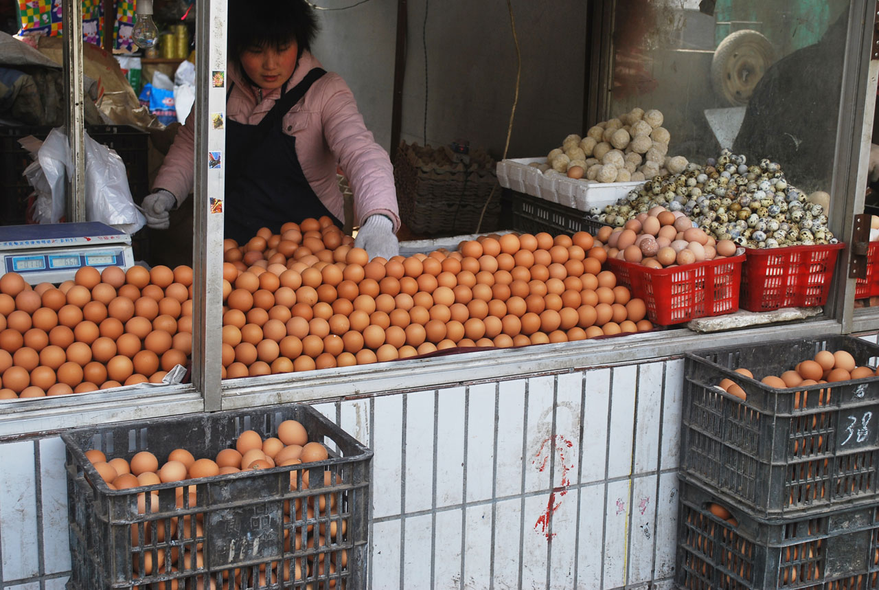 eggs egg market free photo