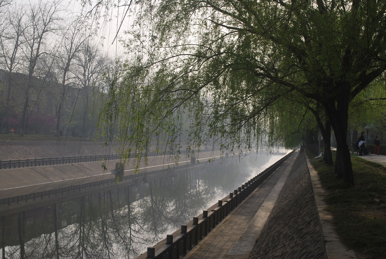 park river trees free photo