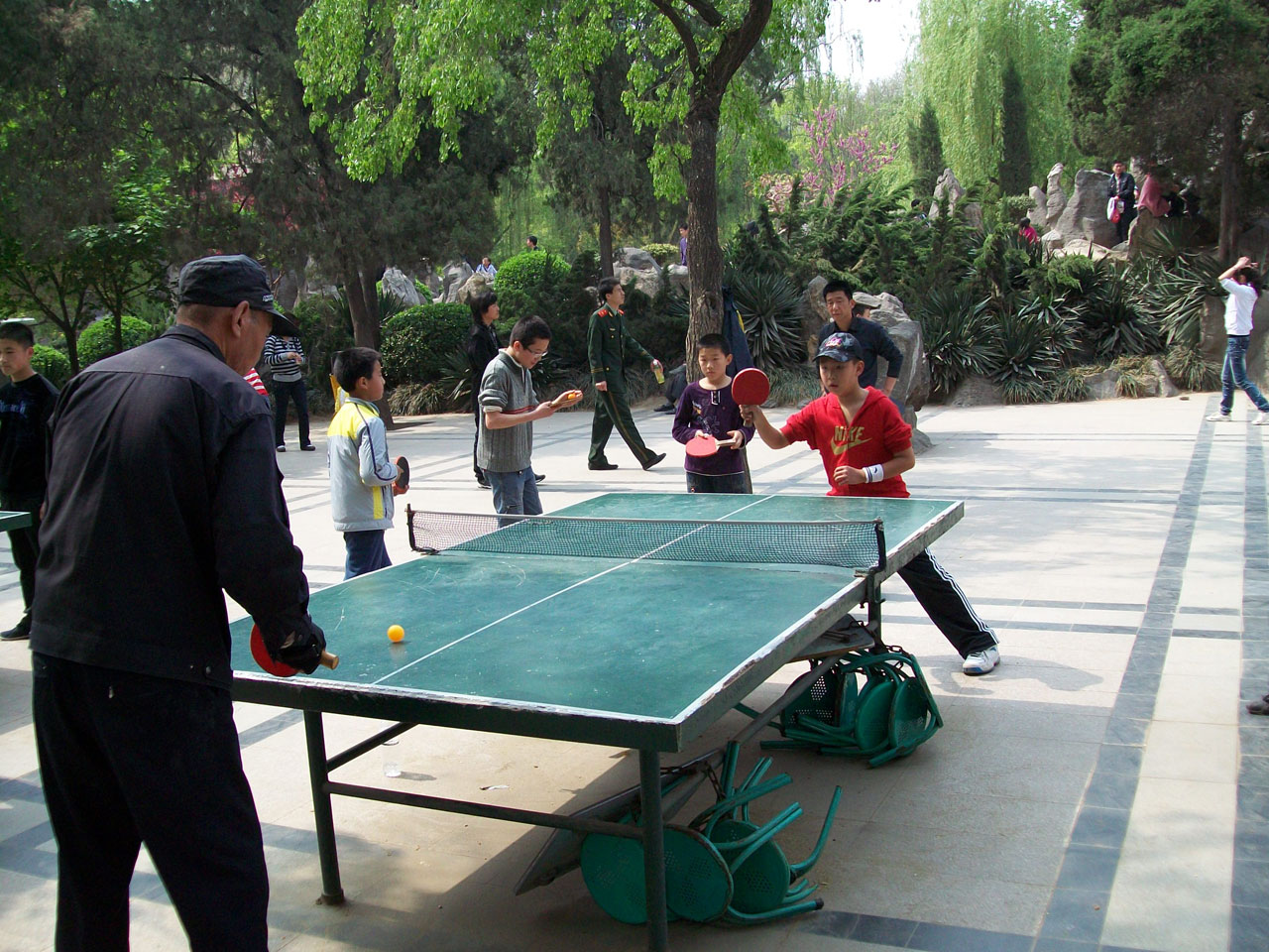 ping pong sport free photo