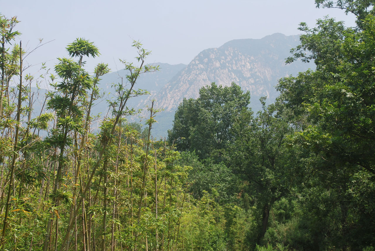 mountain range songshan free photo