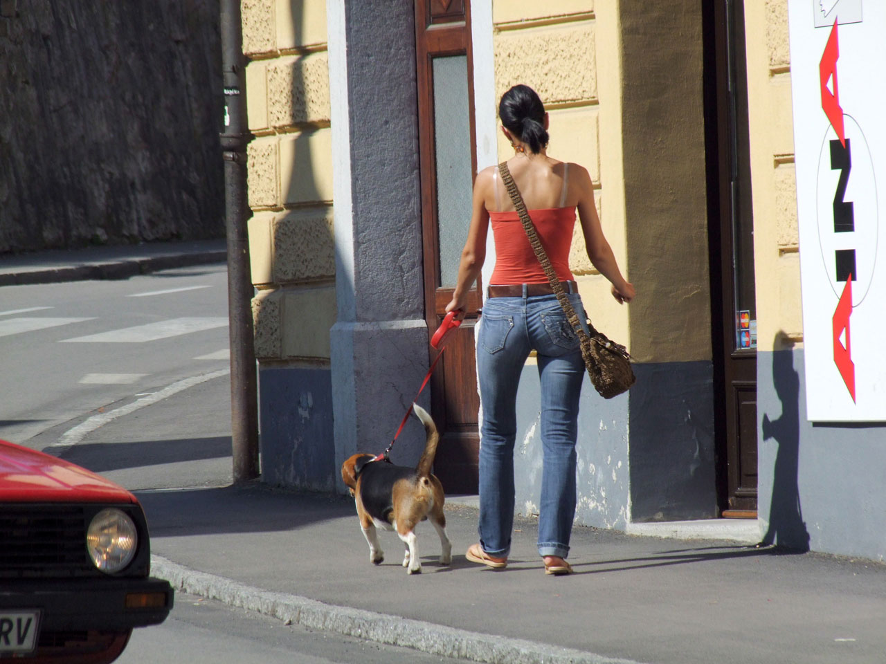 dog walk woman free photo