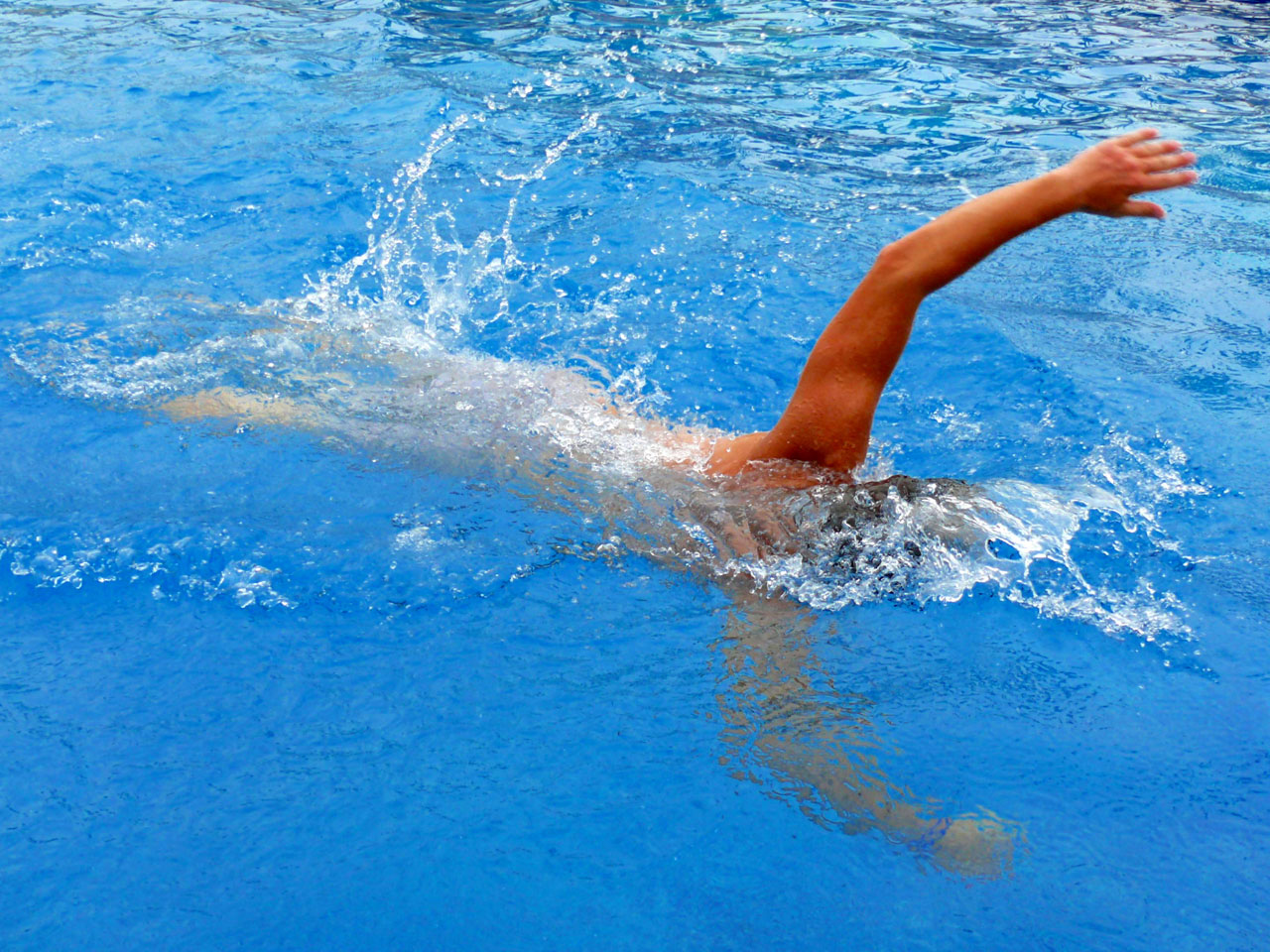 swimming man water free photo