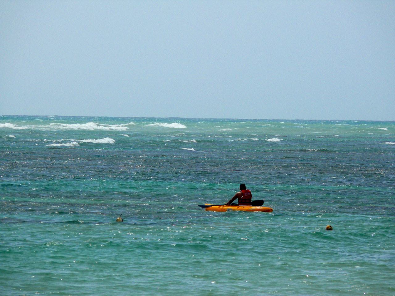 man kayak sea free photo