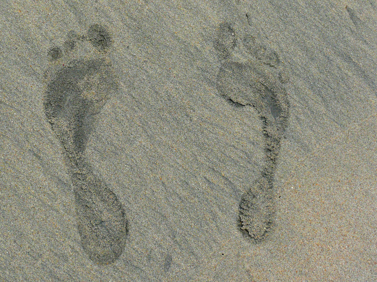foot prints in sand sand beach free photo