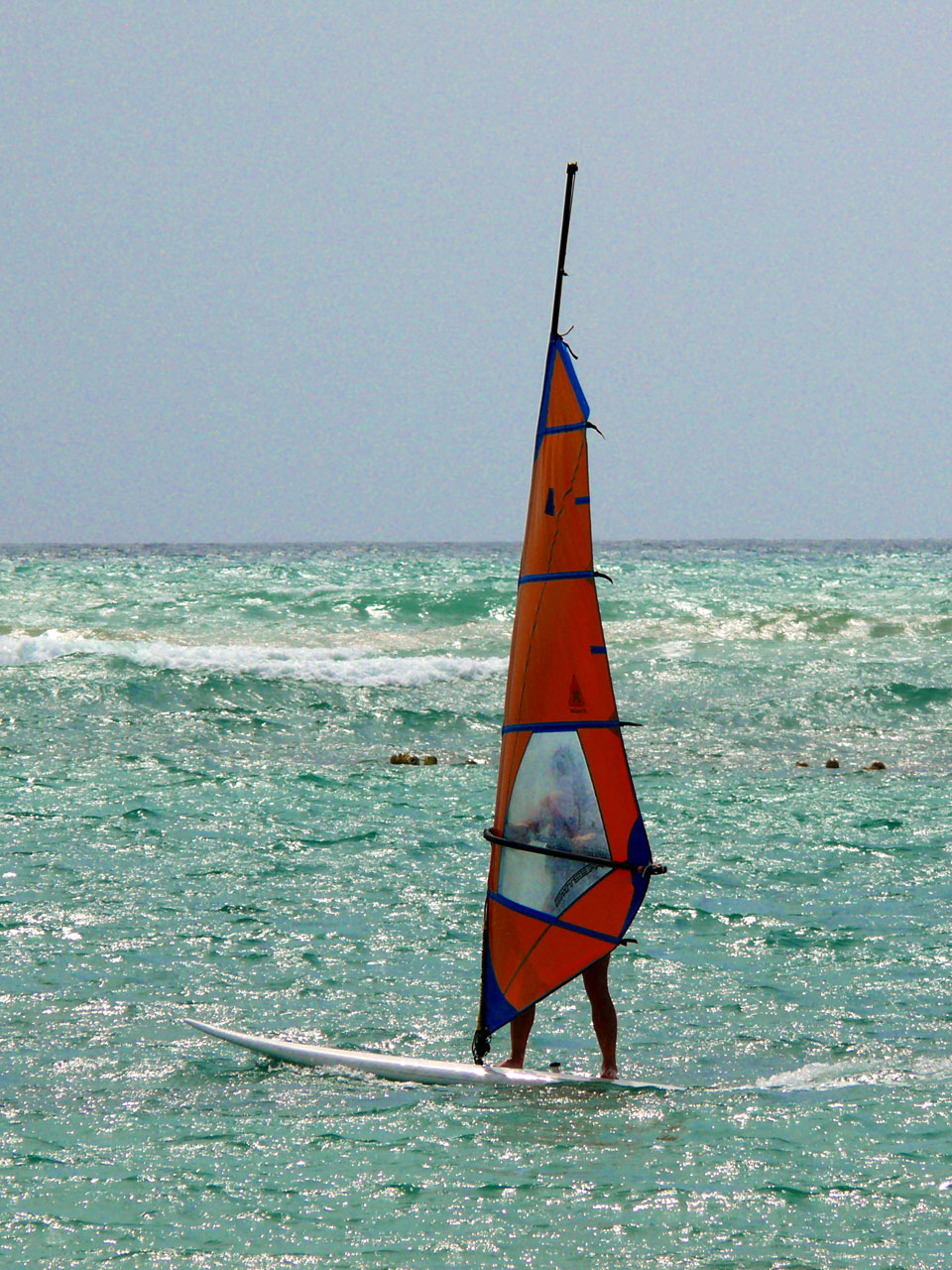 windsurfing sport beach free photo